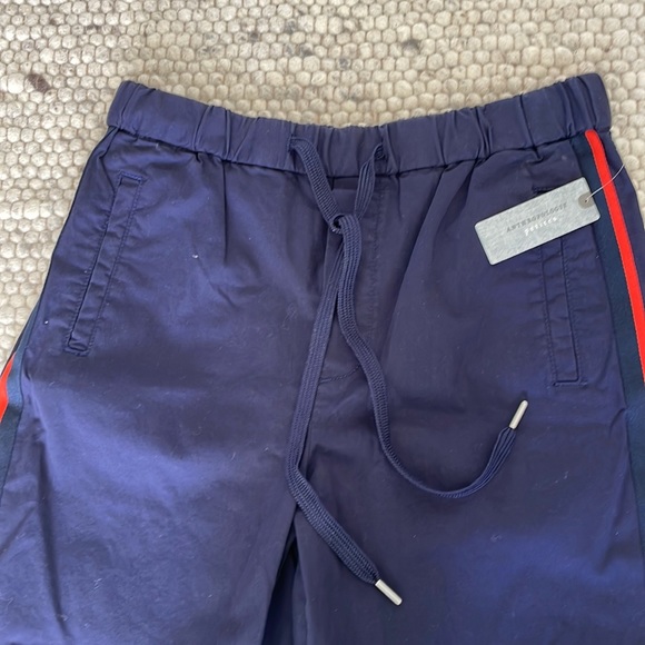 Anthropologie casual pants navy with stripe - Picture 2 of 4